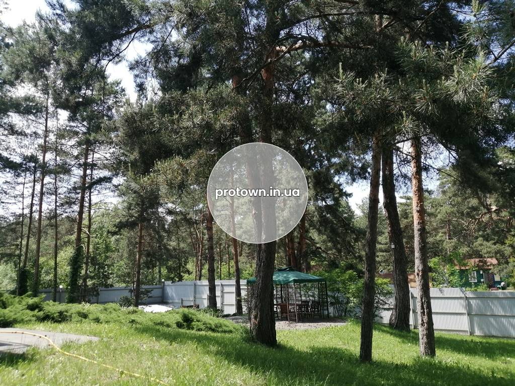 Дом в аренду. Своя котельня. Бассейн, сауна, сосновый воздух
